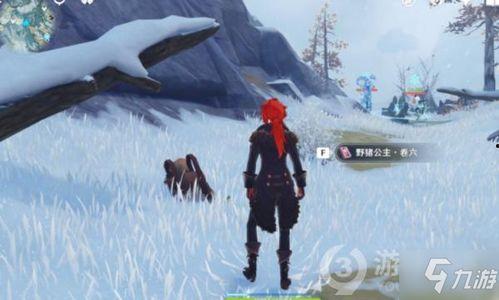 狐玉迷踪,探寻神秘狐玉的传奇故事