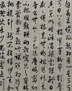 春来定风波,定风波中的诗意人生