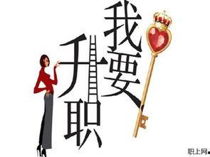 乌龙升职法则,职场笑谈中的职场智慧